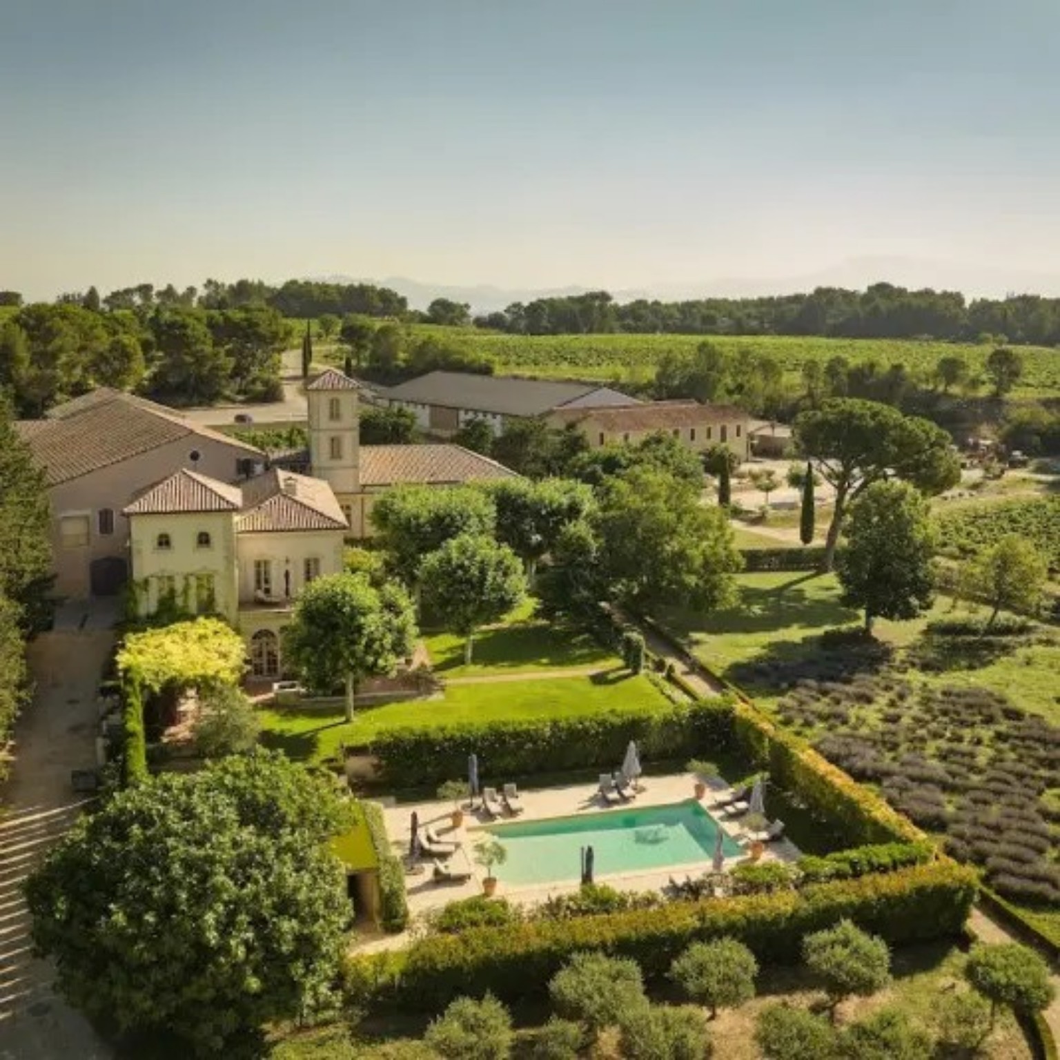 Château Gigognan with its gardens, pool and surrounding vineyards